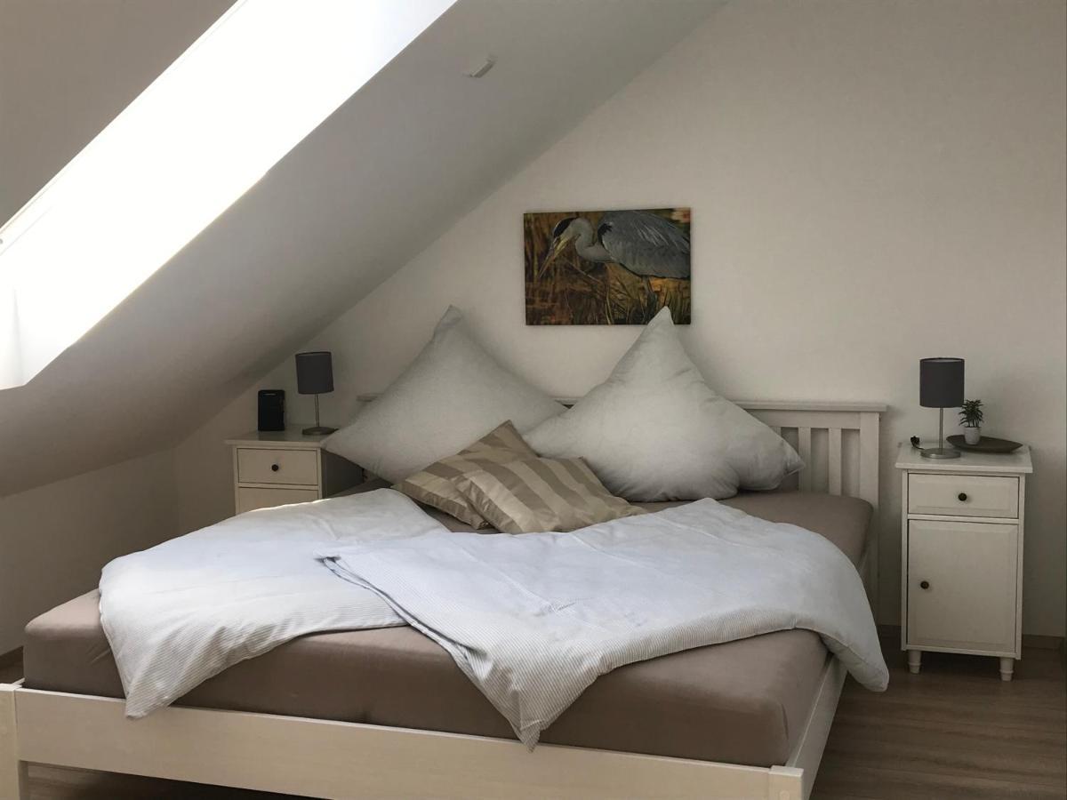 Elb Nest Neu Darchau